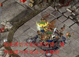 传奇贤竹木坠如何获得?属性加成与升级技巧全解析 传奇贤竹木坠如何获得?属性加成与升级技巧全解析