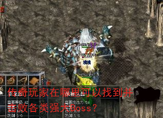 �����������������ҵ������ܸ���ǿ��Boss��