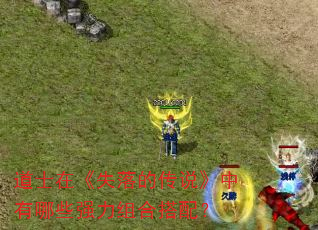 道士在《失落的传说》中有哪些强力组合搭配? 道士在《失落的传说》中有哪些强力组合搭配?