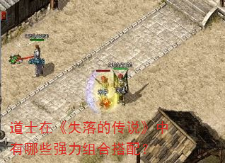 道士在《失落的传说》中有哪些强力组合搭配? 道士在《失落的传说》中有哪些强力组合搭配?