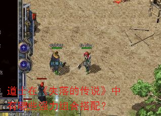 道士在《失落的传说》中有哪些强力组合搭配? 道士在《失落的传说》中有哪些强力组合搭配?