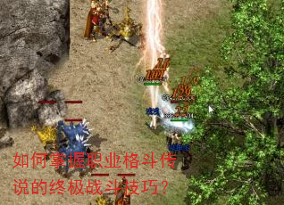 �������ְҵ�񶷴�˵���ռ�ս�����ɣ�