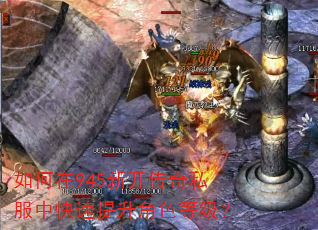 如何在945新开传奇私服中快速提升角色等级? 如何在945新开传奇私服中快速提升角色等级?