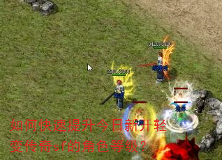 如何快速提升今日新开轻变传奇sf的角色等级? 如何快速提升今日新开轻变传奇sf的角色等级?