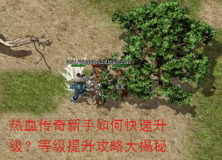 热血传奇新手如何快速升级?等级提升攻略大揭秘 热血传奇新手如何快速升级?等级提升攻略大揭秘