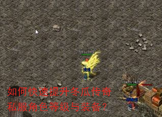 如何快速提升冬瓜传奇私服角色等级与装备? 如何快速提升冬瓜传奇私服角色等级与装备?