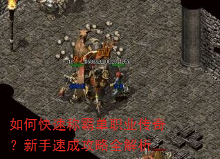 ��ο��ٳưԵ�ְҵ���棿�����ٳɹ���ȫ����