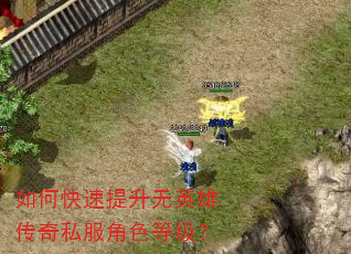 如何快速提升无英雄传奇私服角色等级? 如何快速提升无英雄传奇私服角色等级?