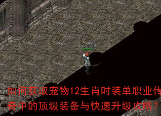如何获取宠物12生肖时装单职业传奇中的顶级装备与快速升级攻略? 如何获取宠物12生肖时装单职业传奇中的顶级装备与快速升级攻略?