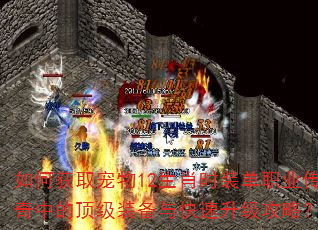 如何获取宠物12生肖时装单职业传奇中的顶级装备与快速升级攻略? 如何获取宠物12生肖时装单职业传奇中的顶级装备与快速升级攻略?