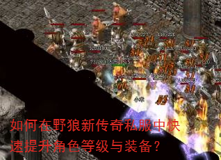 如何在野狼新传奇私服中快速提升角色等级与装备? 如何在野狼新传奇私服中快速提升角色等级与装备?