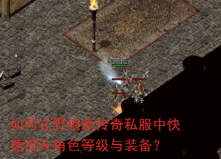 如何在野狼新传奇私服中快速提升角色等级与装备? 如何在野狼新传奇私服中快速提升角色等级与装备?