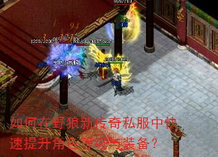 如何在野狼新传奇私服中快速提升角色等级与装备? 如何在野狼新传奇私服中快速提升角色等级与装备?