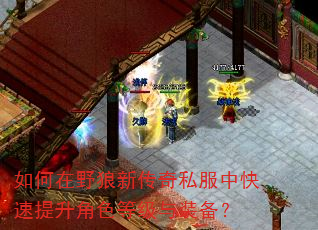 如何在野狼新传奇私服中快速提升角色等级与装备? 如何在野狼新传奇私服中快速提升角色等级与装备?