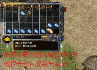 如何在野狼新传奇私服中快速提升角色等级与装备? 如何在野狼新传奇私服中快速提升角色等级与装备?