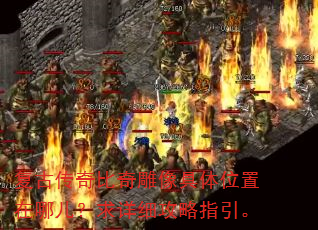 ���Ŵ������������λ�����Ķ�������ϸ����ָ����