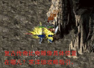 ���Ŵ������������λ�����Ķ�������ϸ����ָ����