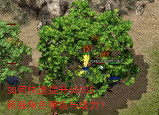 如何快速提升65535新服角色等级与战力? 如何快速提升65535新服角色等级与战力?