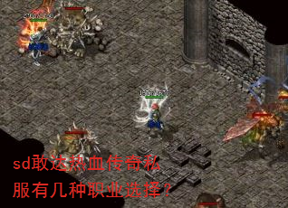 sd敢达热血传奇私服有几种职业选择? sd敢达热血传奇私服有几种职业选择?