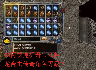 如何快速提升1.95神龙合击传奇角色等级? 如何快速提升1.95神龙合击传奇角色等级?