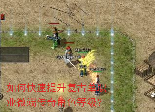 如何快速提升复古单职业微端传奇角色等级? 如何快速提升复古单职业微端传奇角色等级?