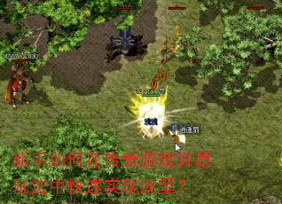 新手如何在传奇游戏许愿玩法中快速实现愿望? 新手如何在传奇游戏许愿玩法中快速实现愿望?