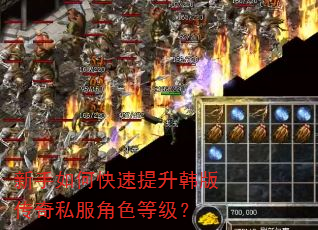 新手如何快速提升韩版传奇私服角色等级? 新手如何快速提升韩版传奇私服角色等级?