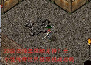 20级法师单挑触龙神?无小怪传奇世界极限挑战攻略 20级法师单挑触龙神?无小怪传奇世界极限挑战攻略