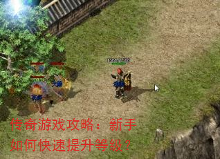 传奇游戏攻略:新手如何快速提升等级? 传奇游戏攻略:新手如何快速提升等级?