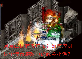 月魔蜘蛛有多可怕?如何应对这个传奇游戏中的致命小怪? 月魔蜘蛛有多可怕?如何应对这个传奇游戏中的致命小怪?