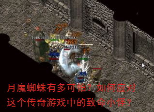 月魔蜘蛛有多可怕?如何应对这个传奇游戏中的致命小怪? 月魔蜘蛛有多可怕?如何应对这个传奇游戏中的致命小怪?