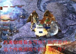 月魔蜘蛛有多可怕?如何应对这个传奇游戏中的致命小怪? 月魔蜘蛛有多可怕?如何应对这个传奇游戏中的致命小怪?