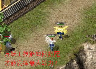 万妖王技能如何搭配才能发挥最大战力? 万妖王技能如何搭配才能发挥最大战力?