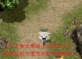 1.85玉兔元素战士如何加点?最强技能与属性分配攻略解析? 1.85玉兔元素战士如何加点?最强技能与属性分配攻略解析?
