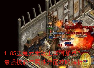 1.85玉兔元素战士如何加点?最强技能与属性分配攻略解析? 1.85玉兔元素战士如何加点?最强技能与属性分配攻略解析?
