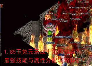 1.85玉兔元素战士如何加点?最强技能与属性分配攻略解析? 1.85玉兔元素战士如何加点?最强技能与属性分配攻略解析?